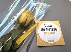Een geel bloemetje voor alle mama's.