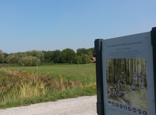 “Binnenkort betere aanduiding van speelbos Wallemote-Wolvenhof” “Binnenkort betere aanduiding van speelbos Wallemote-Wolvenhof”