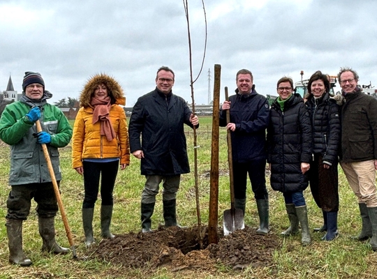 Bosaanplant Izegem Bosaanplant Izegem