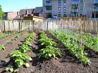 Opening volkstuintjes